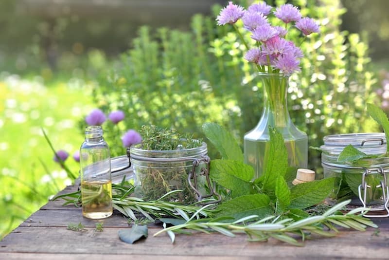 فروش عرقیات گیاهی با بهتریت قیما